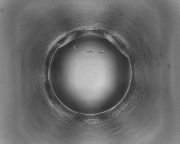 X0000072550536200607141255