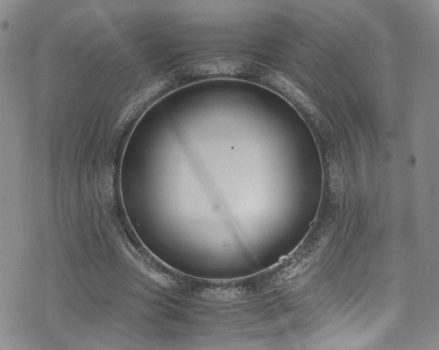 X0000072550537200607141255