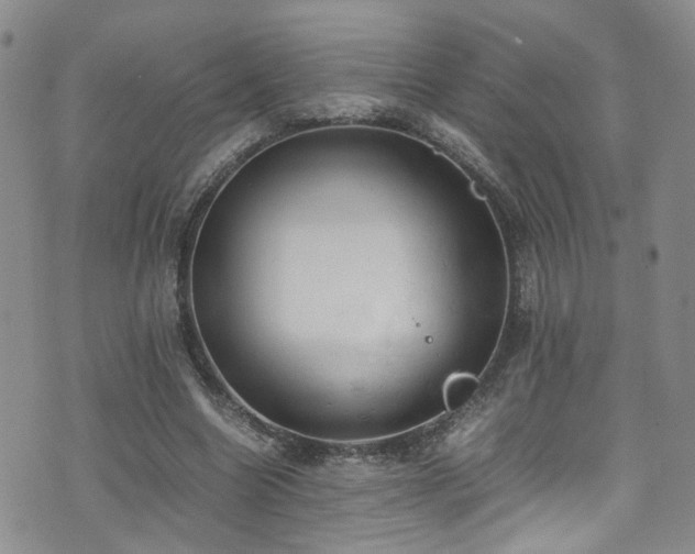 X0000072550538200607141255