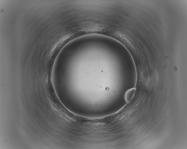 X0000072550539200607141255