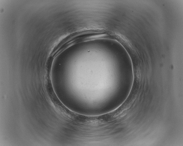 X0000072550540200607141255