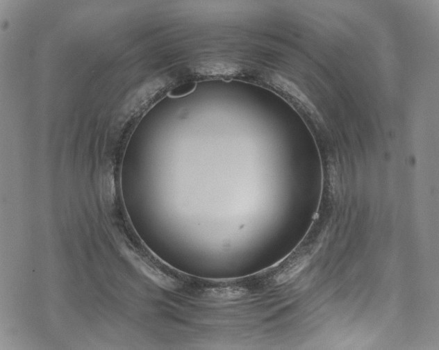 X0000072550541200607141255