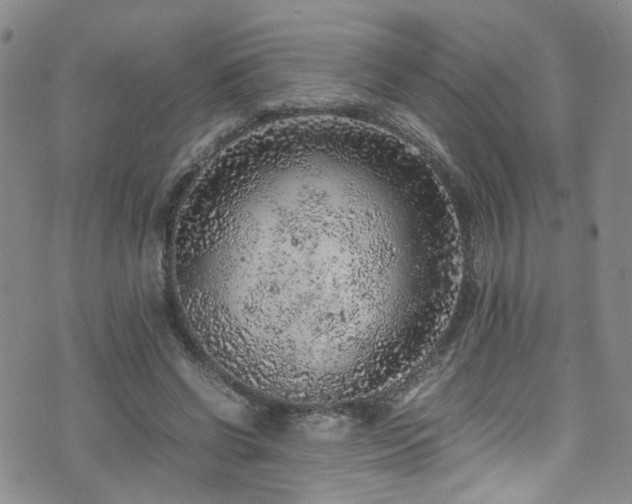 X0000072550542200607141255