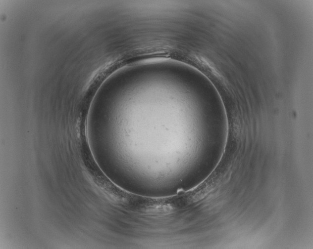 X0000072550543200607141255