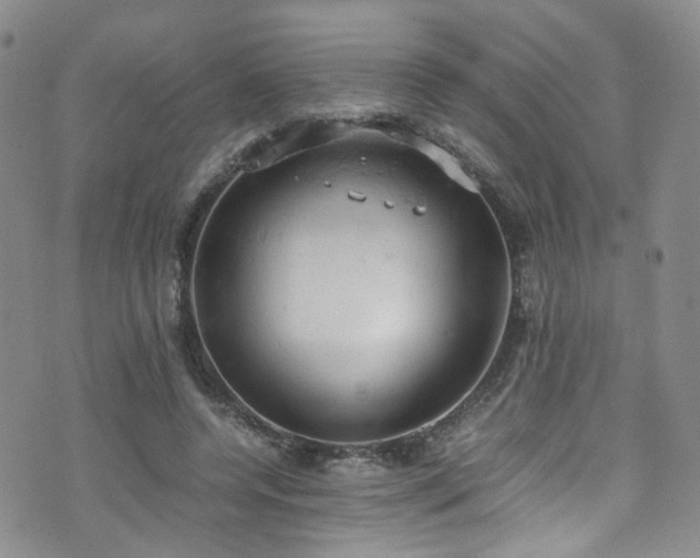 X0000072550544200607141255