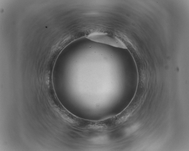 X0000072550545200607141255