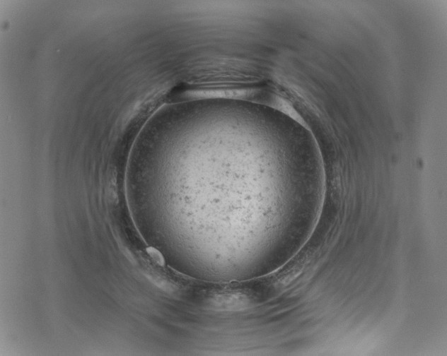 X0000072550547200607141255