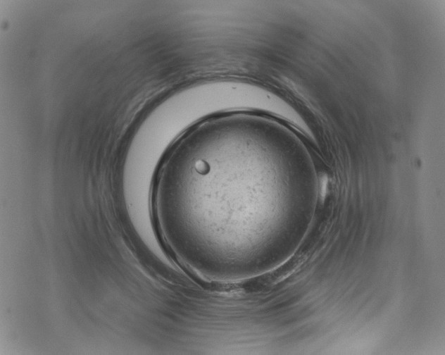 X0000072550548200607141255