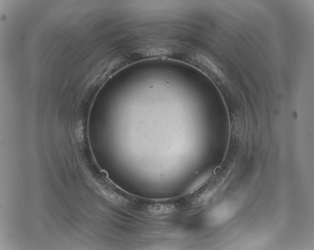 X0000072550549200607141255