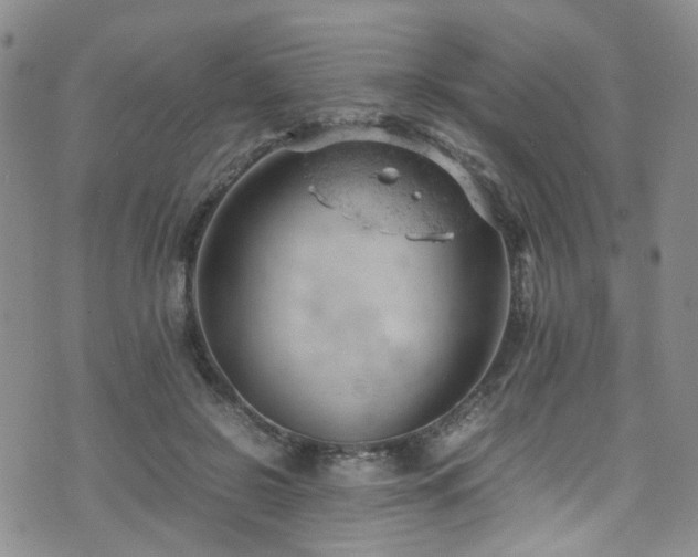 X0000072550550200607141255