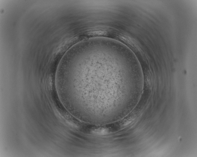 X0000072550551200607141255