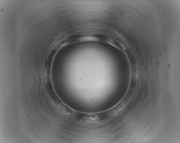 X0000072550552200607141255