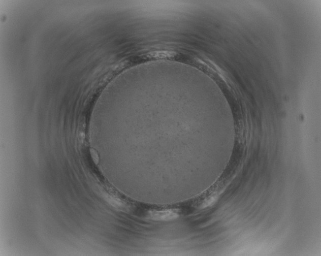 X0000072550553200607141255