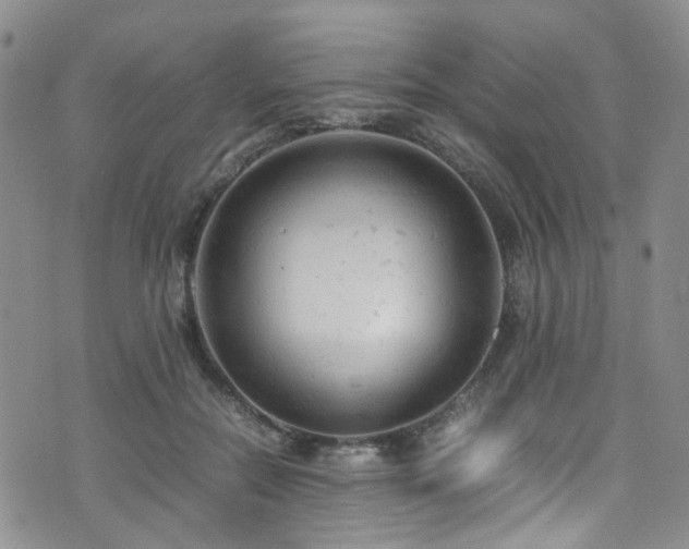 X0000072550554200607141255