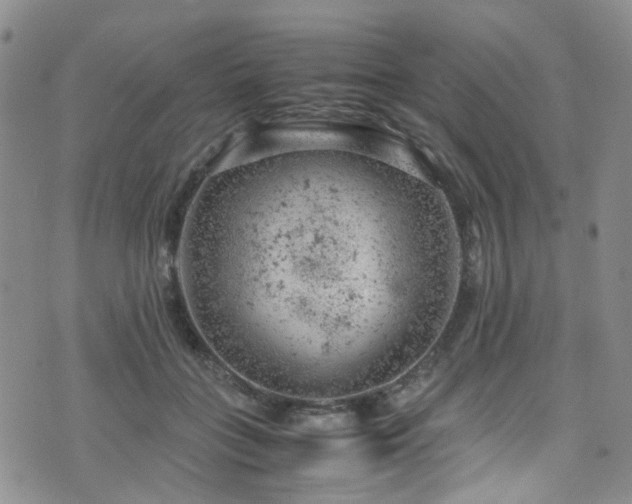 X0000072550555200607141255