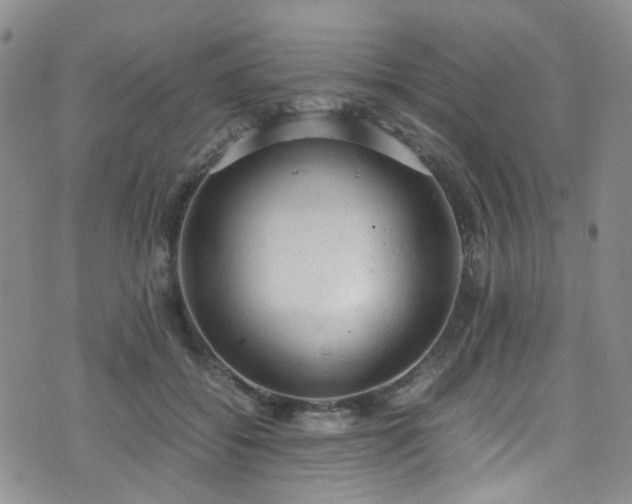 X0000072550556200607141255