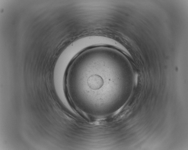 X0000072550558200607141255