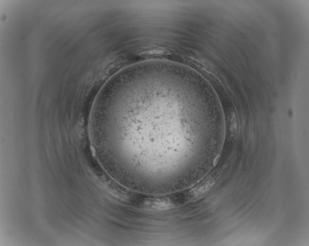 X0000072550559200607141255