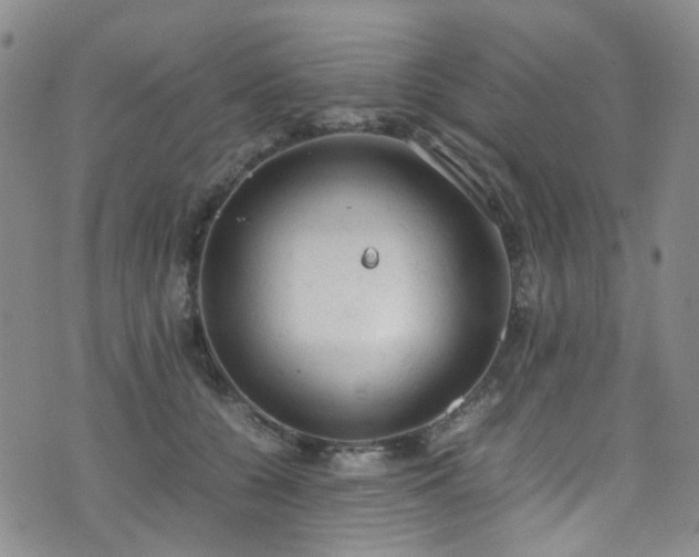 X0000072550560200607141255