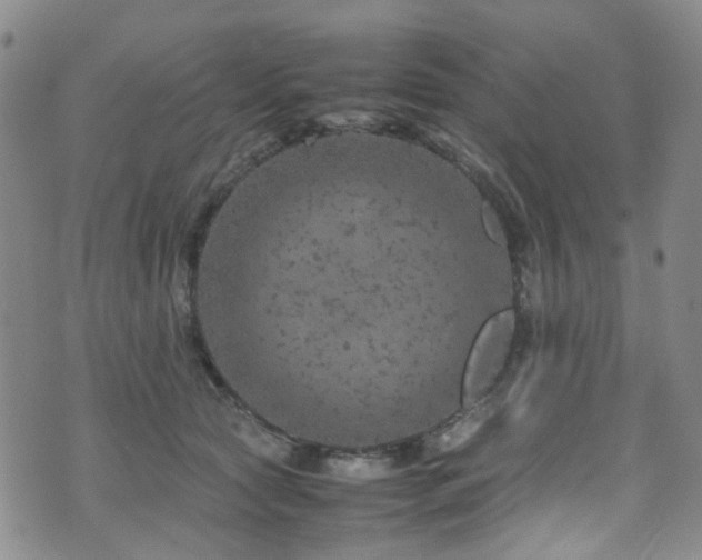 X0000072550561200607141255