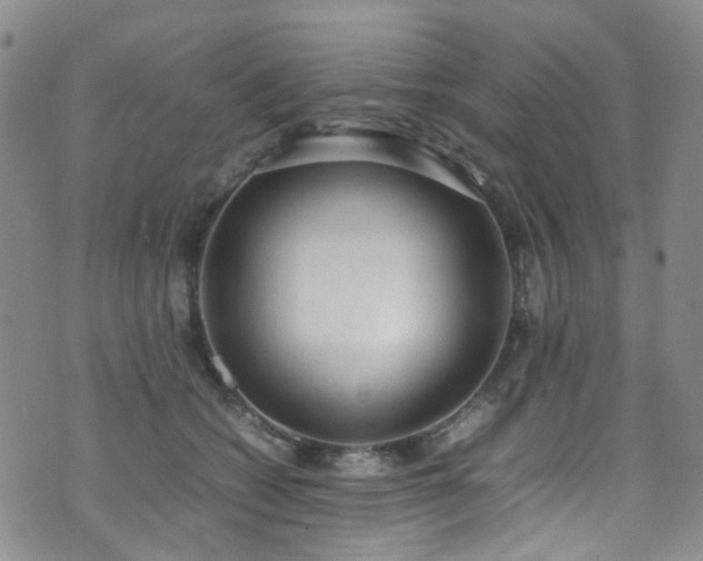 X0000072550562200607141255