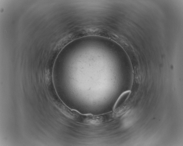 X0000072550563200607141255