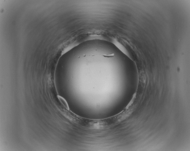 X0000072550564200607141255