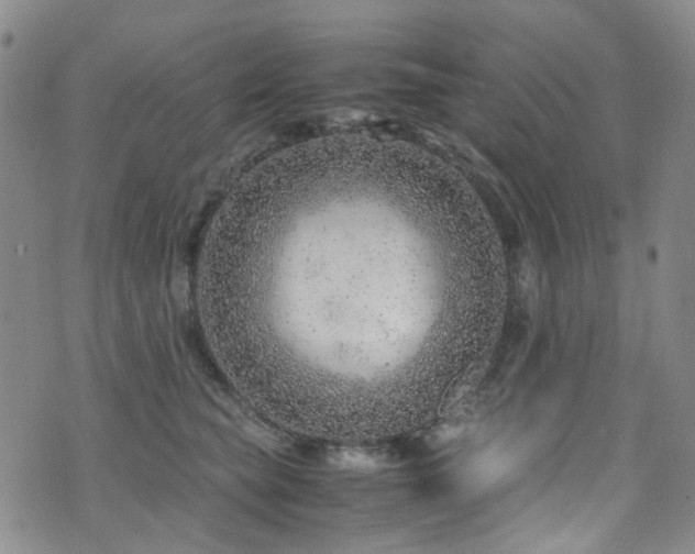 X0000072550565200607141255