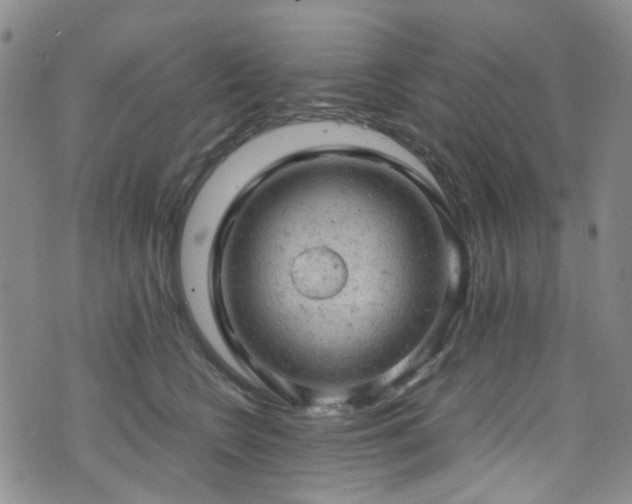 X0000072550566200607141255