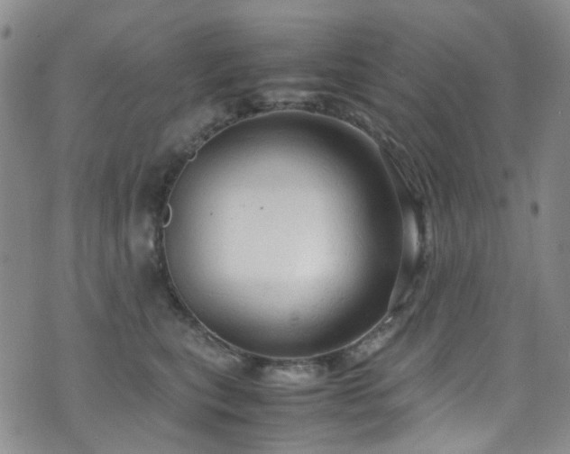 X0000072550567200607141255