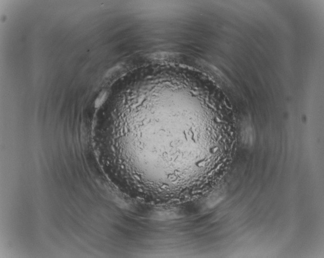 X0000072550569200607141255