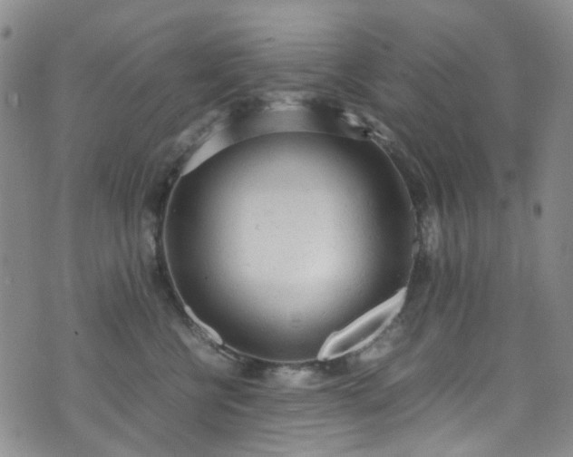 X0000072550570200607141255