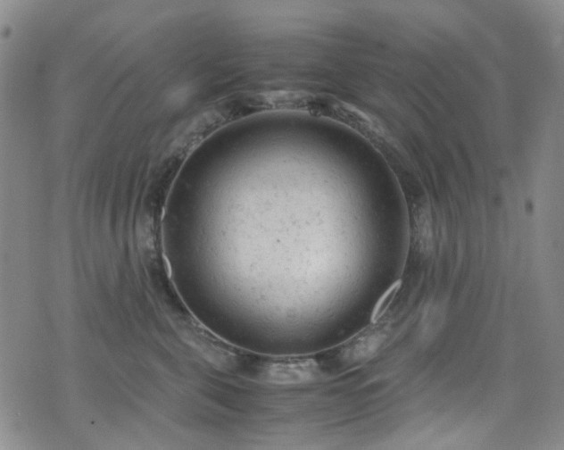 X0000072550571200607141255