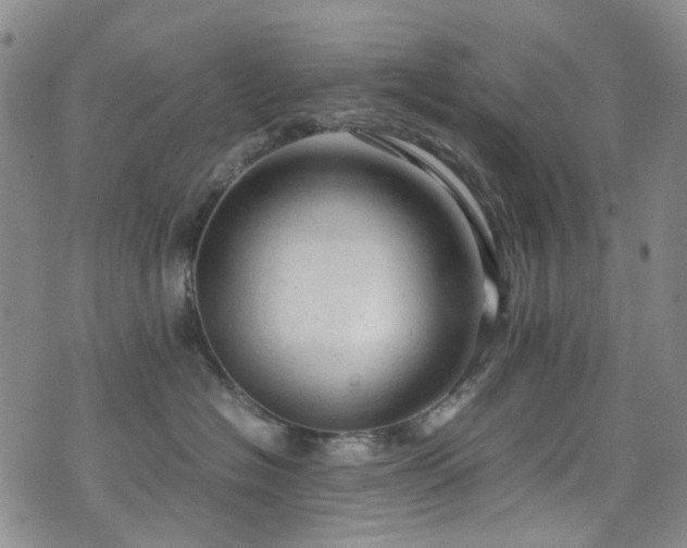 X0000072550574200607141255