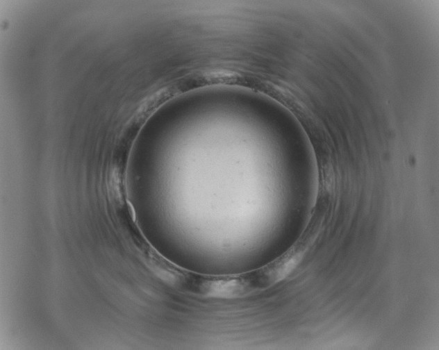 X0000072550575200607141255