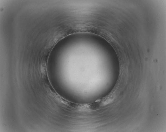 X0000072550576200607141255