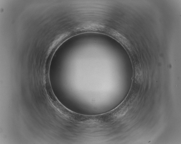 X0000072550578200607141255