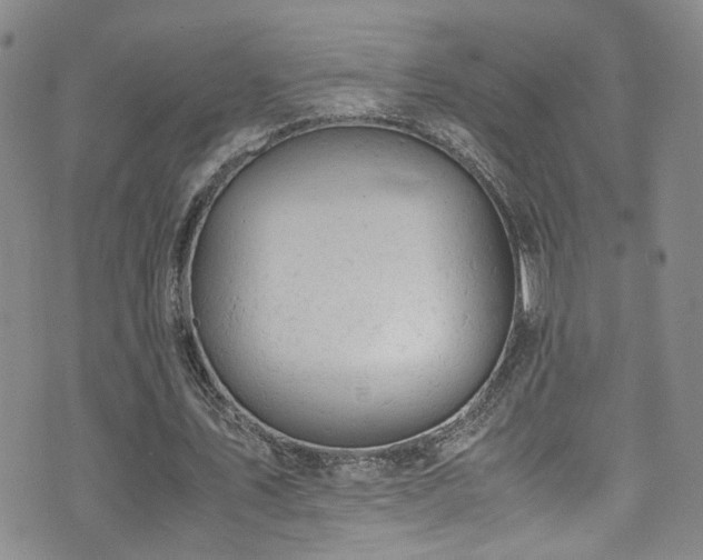 X0000072550579200607141255