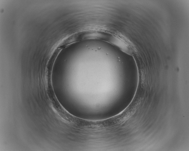 X0000072550580200607141255