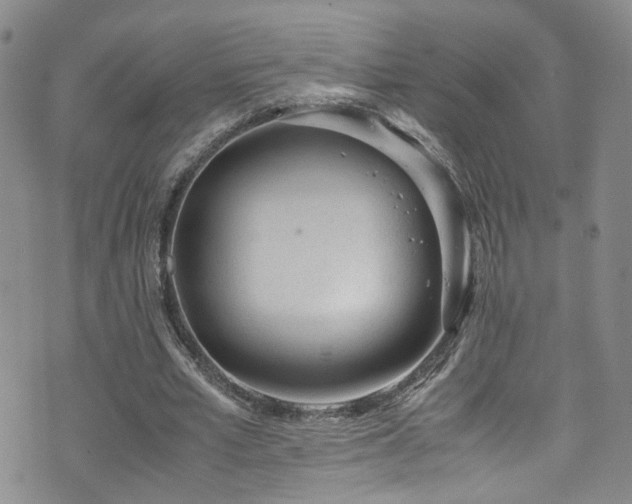 X0000072550581200607141255