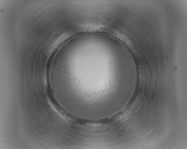 X0000072550582200607141255