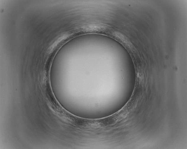 X0000072550583200607141255