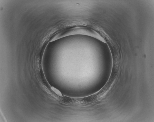 X0000072550585200607141255