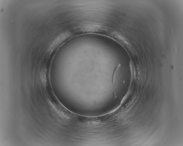 X0000072550586200607141255