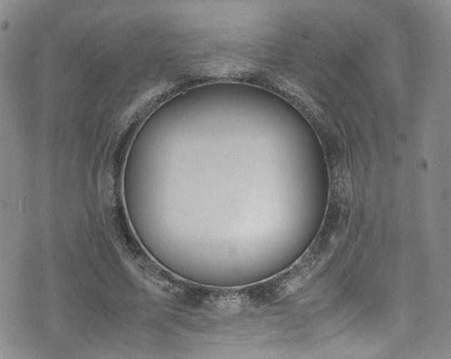 X0000072550587200607141255