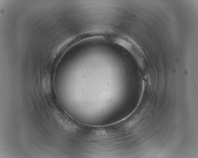 X0000072550588200607141255