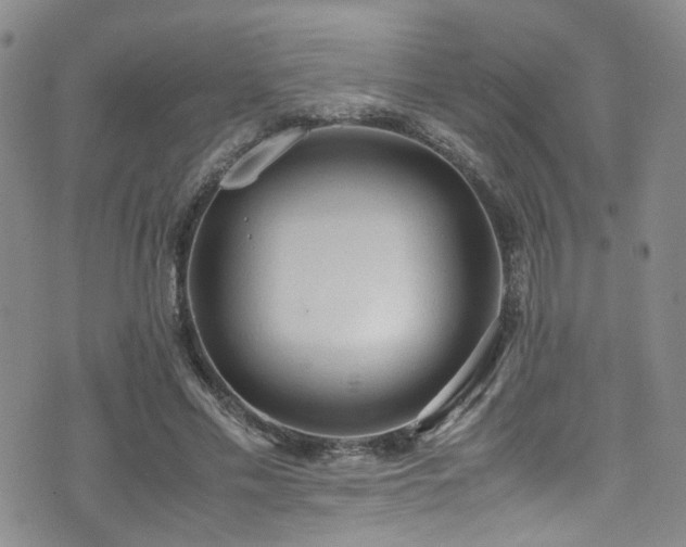 X0000072550589200607141255