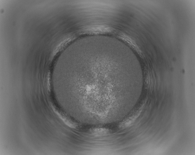 X0000072550590200607141255