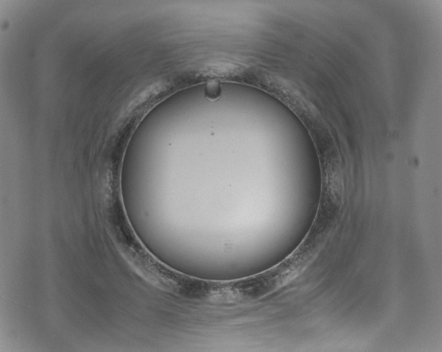 X0000072550591200607141254