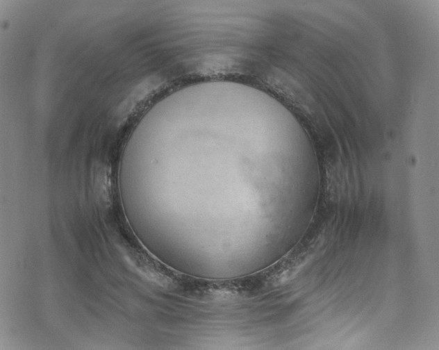 X0000072550592200607141254